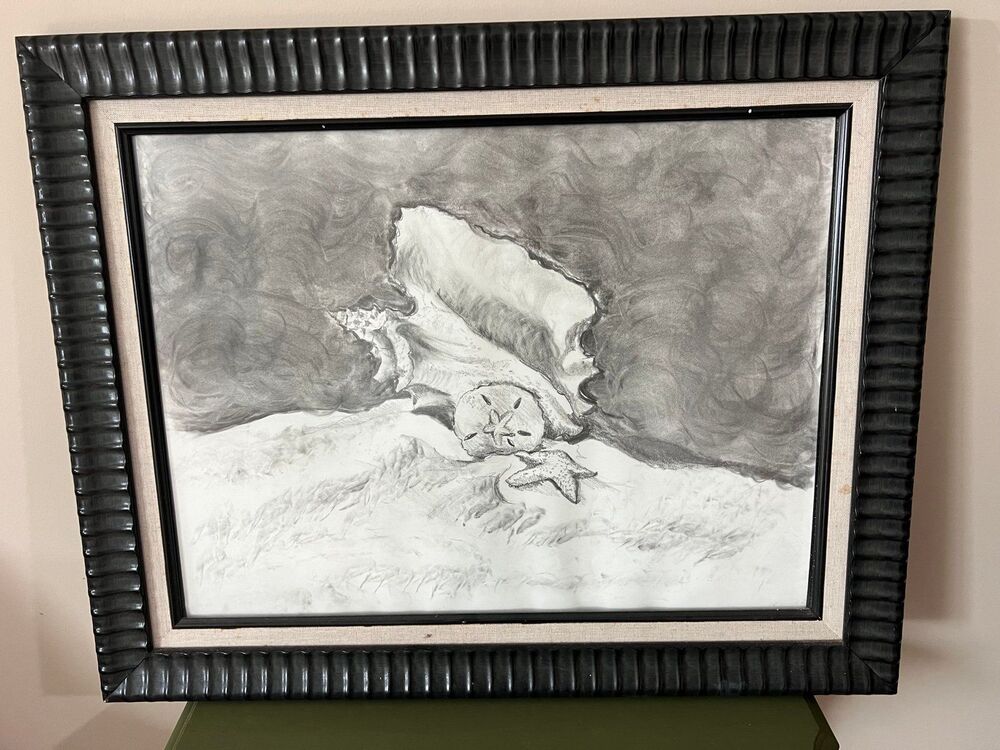 Handmade FRAMED Pencil Drawing Sketch of a Shell Starfish Sand Dollar
